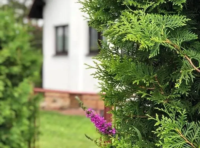 U Smoliku * Borovany (Ceske Budejovice)
